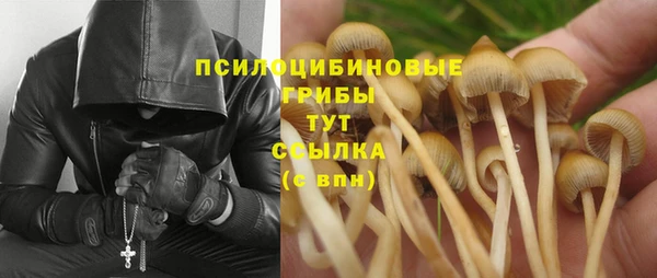 гашиш Абаза