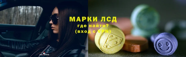 индика Абинск