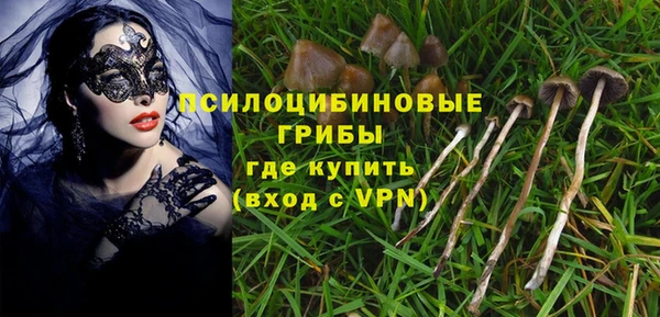 индика Абинск