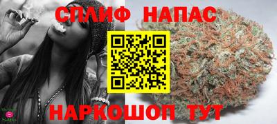 СК Севастополь