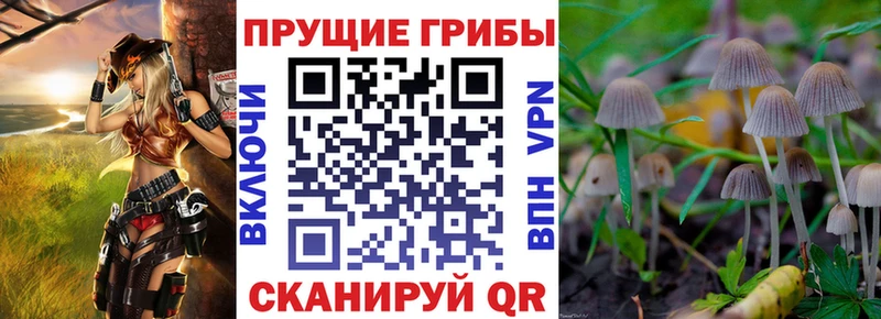 OMG ССЫЛКА Ростов-на-Дону Галлюциногенные грибы мицелий купить