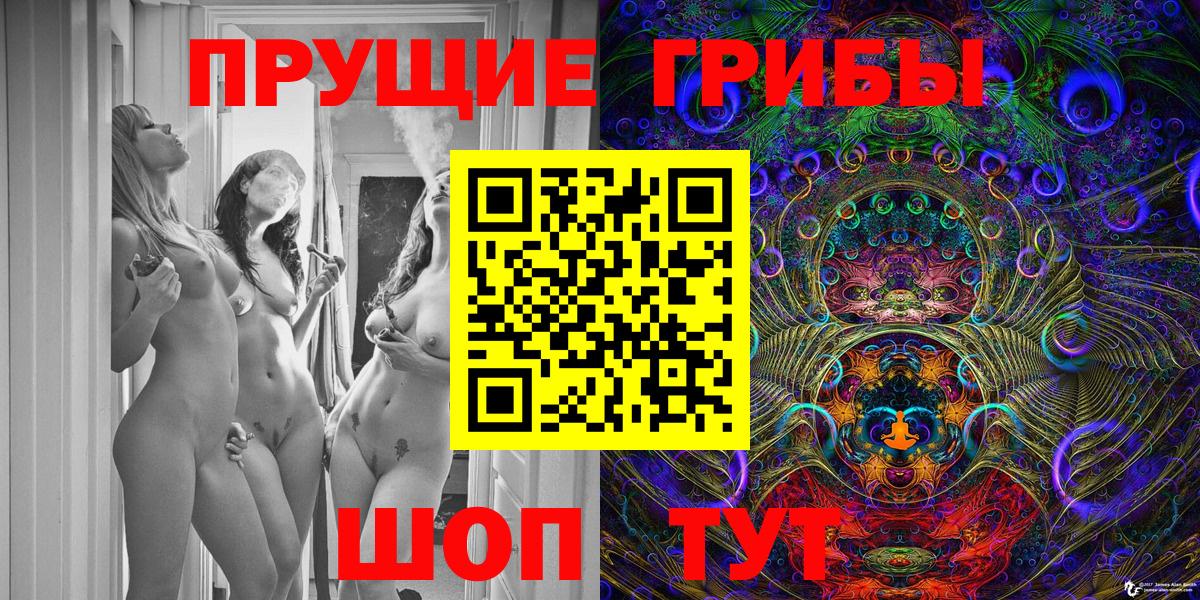 Псилоцибиновые грибы Psilocybe Ростов-на-Дону