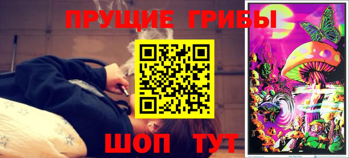 купить наркоту  Галлюциногенные грибы MAGIC MUSHROOMS  Вход с VPN  Ростов-на-Дону 