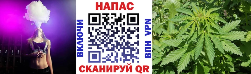 Каннабис SATIVA & INDICA  как найти наркотики  Ростов-на-Дону 